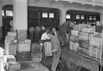 841971 Afbeelding van het overladen van vis bij de visveiling te IJmuiden.